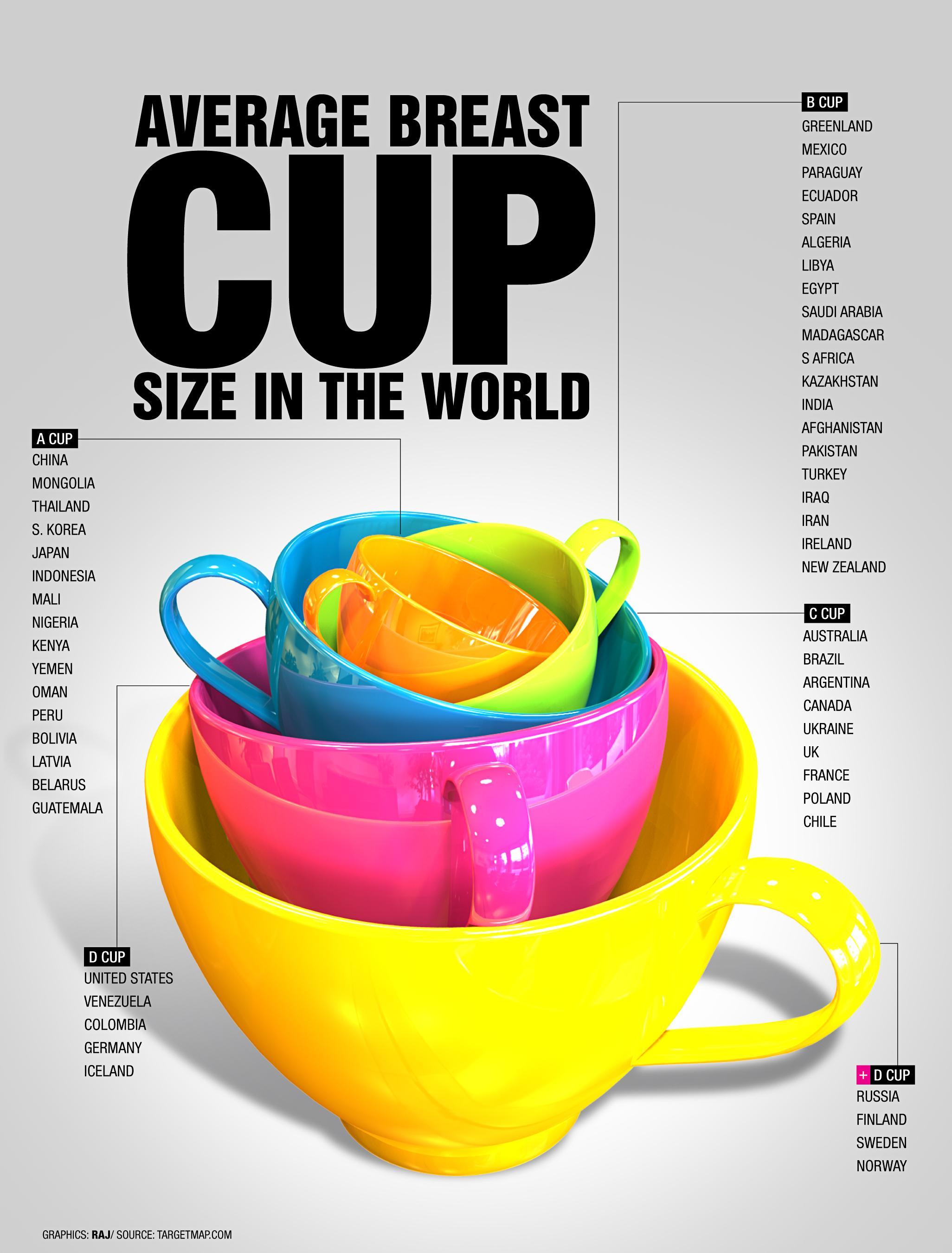 Cup-size example image