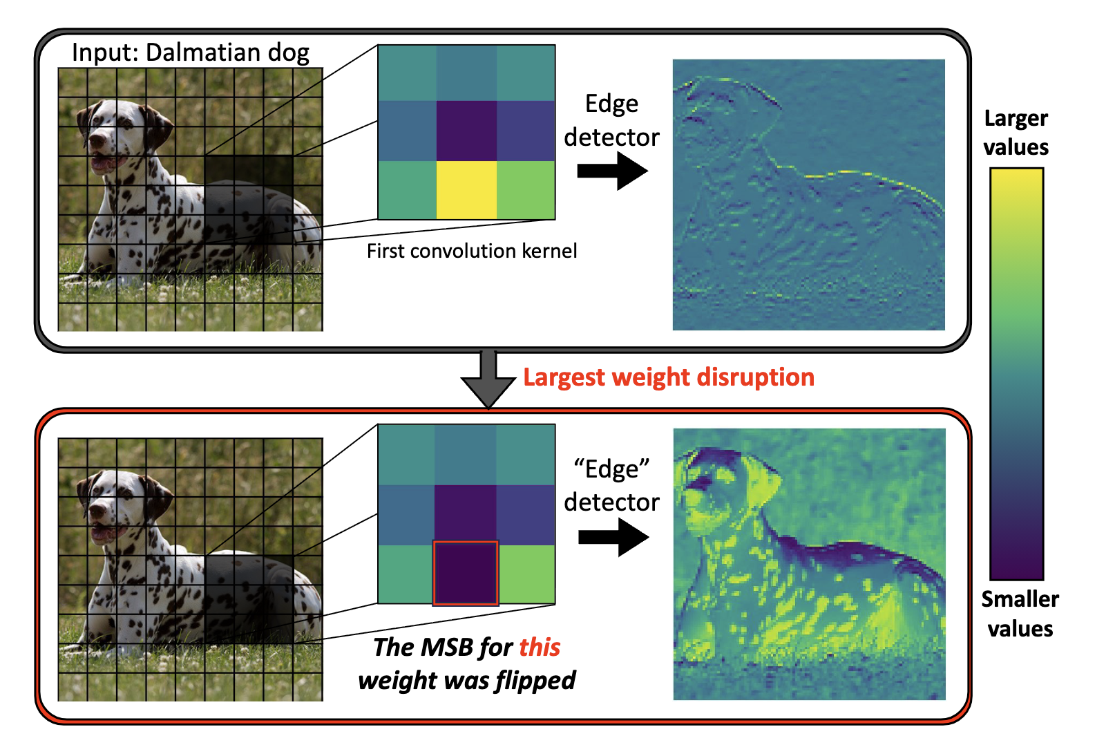 DNL effect on convolutional kernel